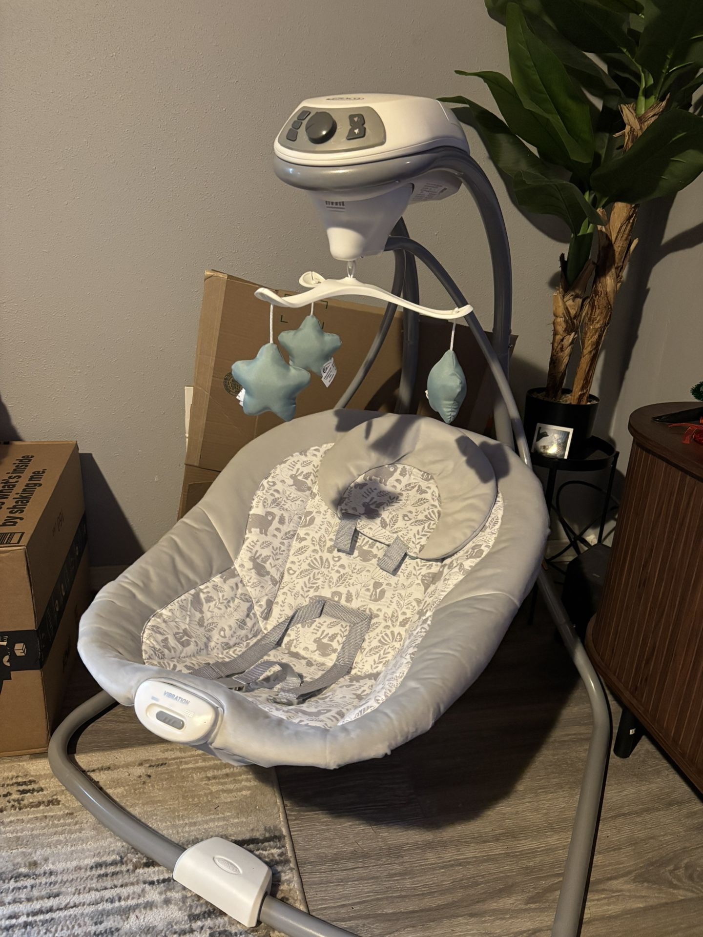 Baby Swing