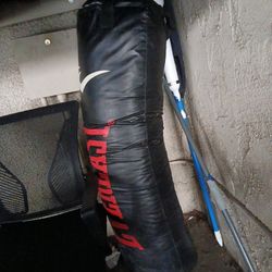 everlast punching bag 100 lb 