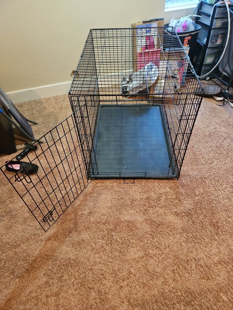 Large Dog Crate