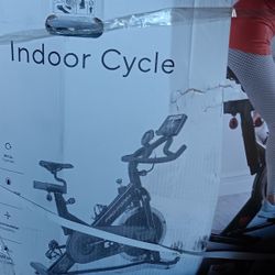 Pro Form Cycle Indoor 