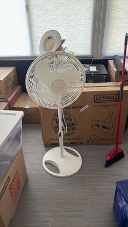 Oscillating fan