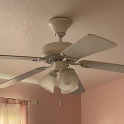 Fan 