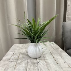 Fake Artificial Grass in Modern White Ceramic Plant Pots. Table Centerpiece. Need gone ASAP.