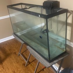 40 Gallon Tank 