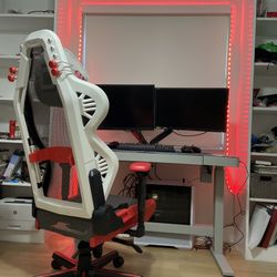 2 Acer Predator Monitor And Dual Desk Stand. 