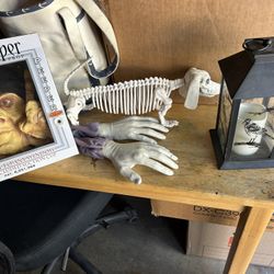 Halloween Decorations All For 10$