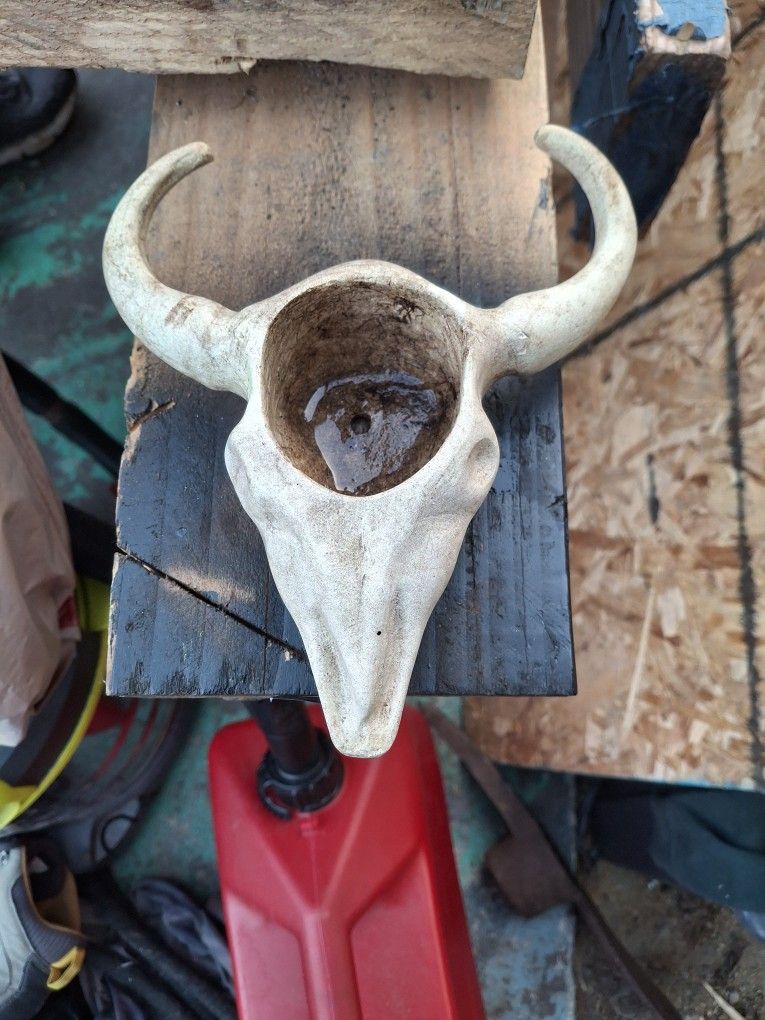 Bull Head Planting Pot