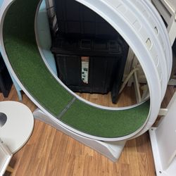 Cat Wheel 