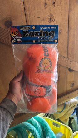 Boxing gloves