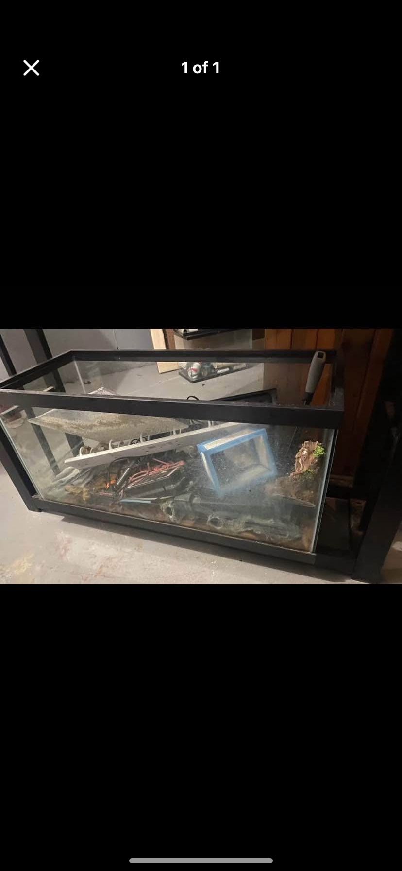 40 gal breeder