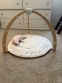 Aden + Anais Play + Discover Baby Activity Gym 