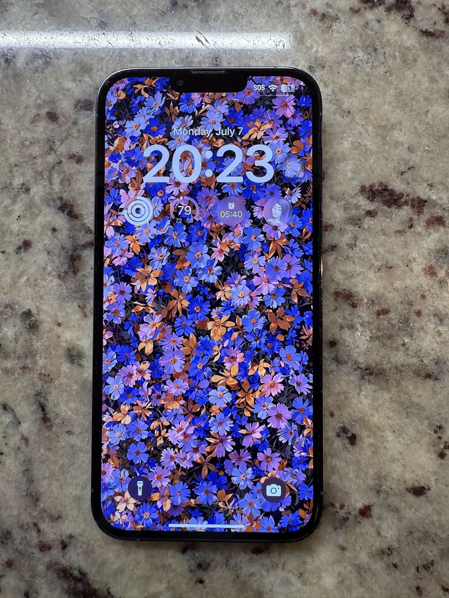 iPhone 13 Pro Max