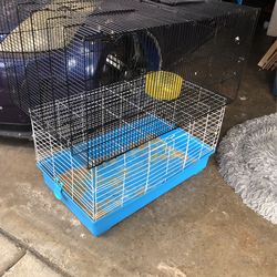Gigantic, guinea pig cage for hamster