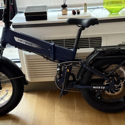 Electric Bike 