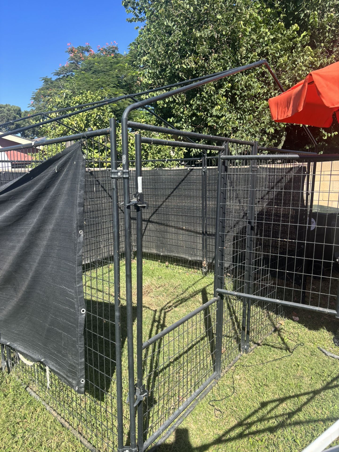 Dog Enclosure