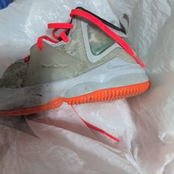 Nike Lebron Shoes