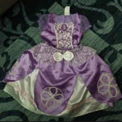 Princess Sophia Costume Disfras