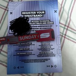 1 SKYLINE SUNDAY ONLY ENTRY