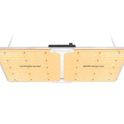 Grow Tent And Lights