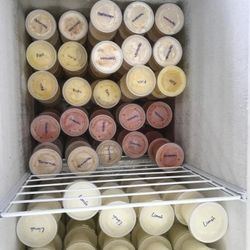 DELICIOSO LIMBER EN KISSIMMEE BVL $1.50!!