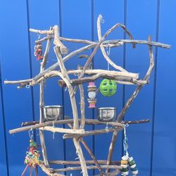 Crazy Small Parrot perch Tree —- The Great Socializer… Cockatiel, Conure  Ringneck Etc 