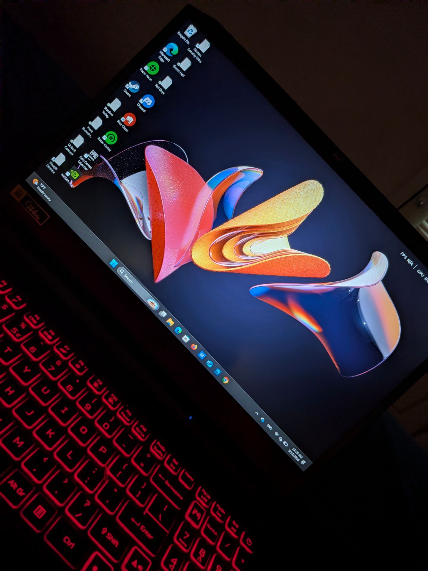 Image #1