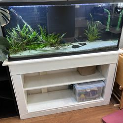 55 Gallon Fish Tank With Stand