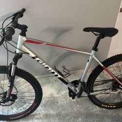 Mountain Bike Large Frame 