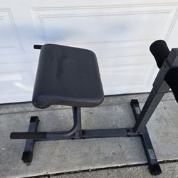 Hyperextension Bench Back Abdominal Exercises Equipment Fitness 