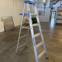 Werner 6 ft Ladder