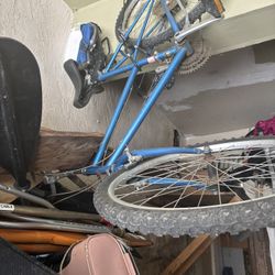 26” Bike  Ladies Diamond Back