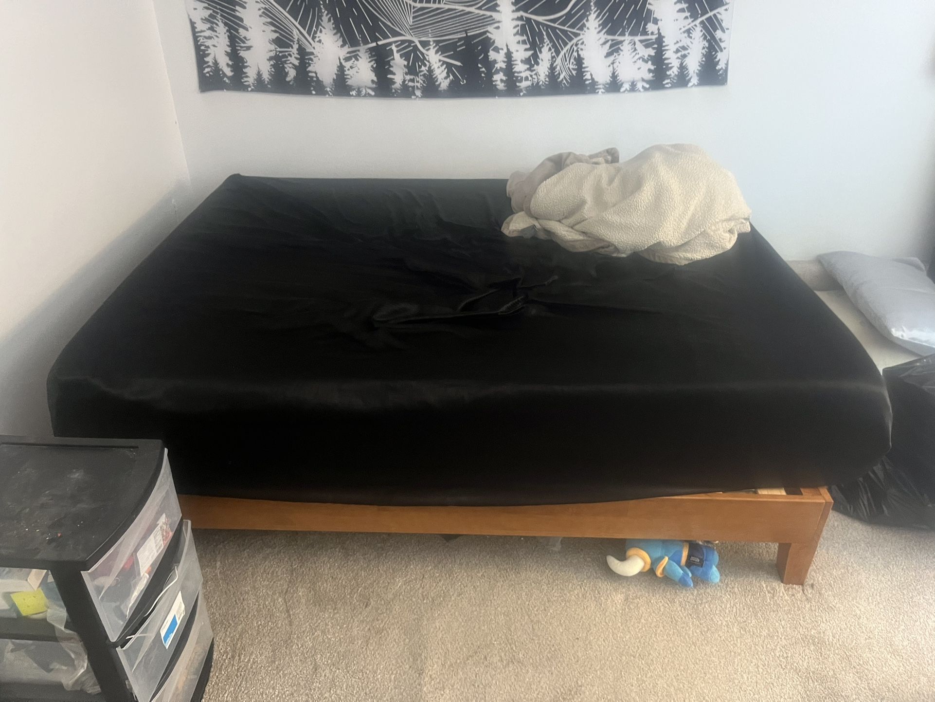 Queen Sized mattress And Bed Frame