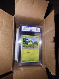 Graded Pokémon Cards
