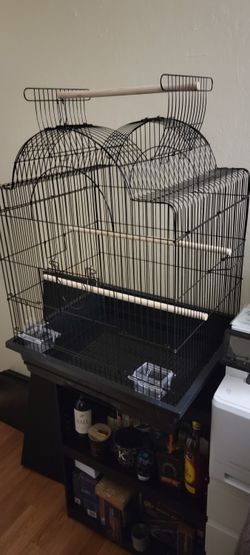 Bird Cage 