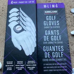 KIRLAND GLOVES ( L) ( R) Theater Size L