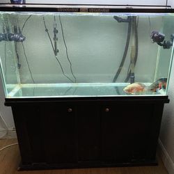 126 Gallon Fish Tank