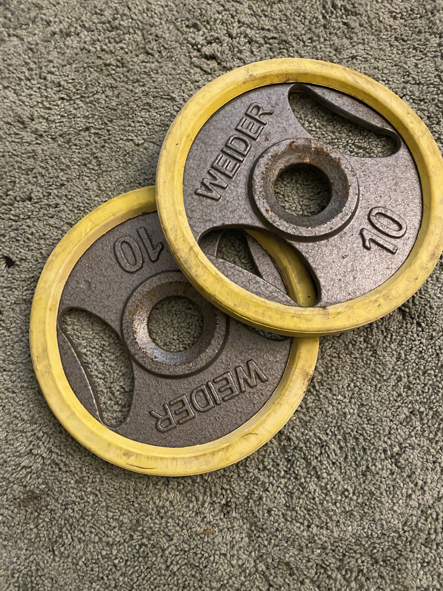 Weider 10 lb weight plates with bumper covers