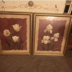 2new Frames Home Interiors 