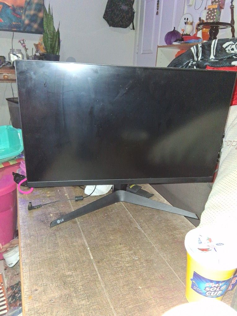 LG Gaming Monitor 
