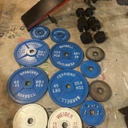 Gym Weights And Bench