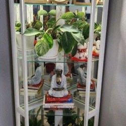 Beautiful CORNER UNIT SHELVES with background Mirror and Spot Light