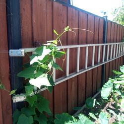 Aluminum Ladder 