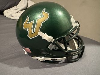 USF MINI HELMET
