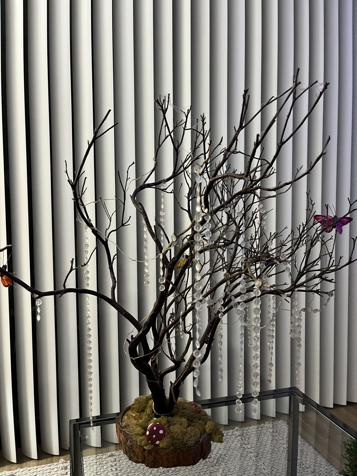 Manzanita Tree