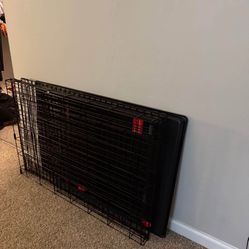 Kong XL Dog Crate