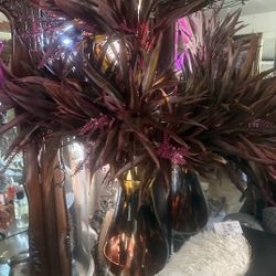 Hawaiian Plant Second Picture Is In Pot