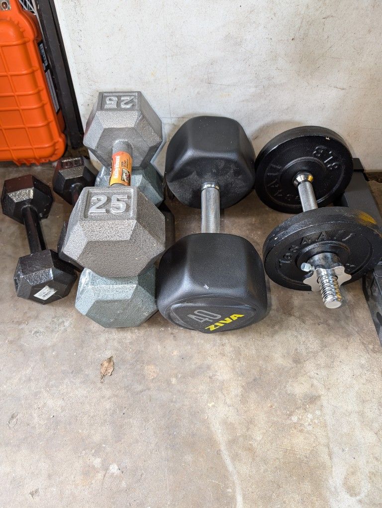 Assorted Weights And Bench