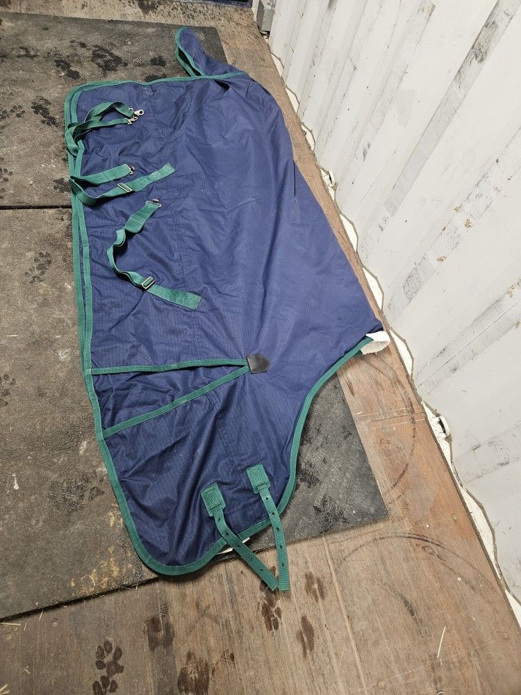 Horse Blanket 72"