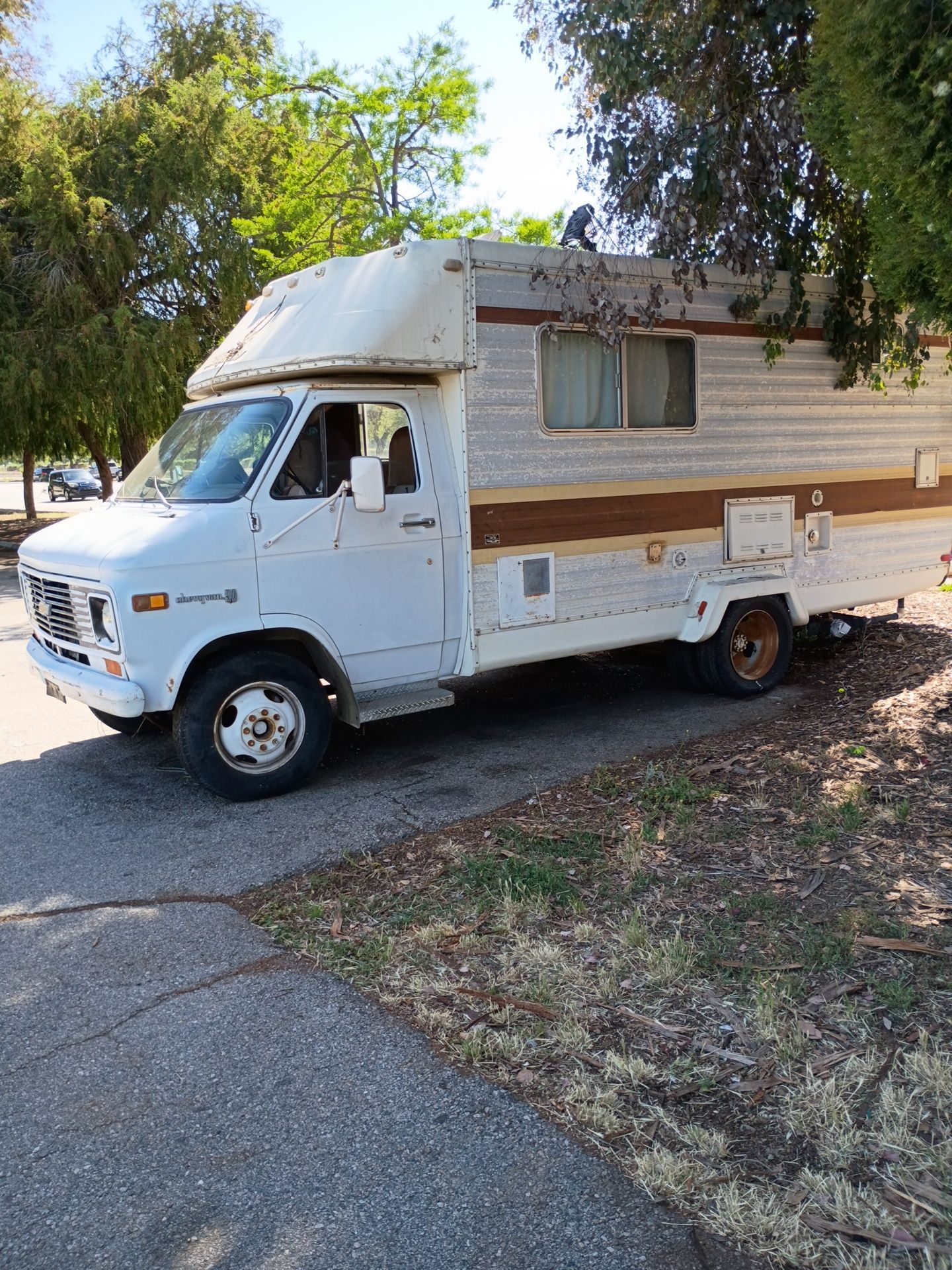 1976 Chevy RV van