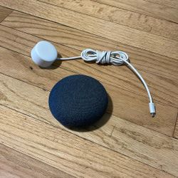 Google Home Mini Assistant